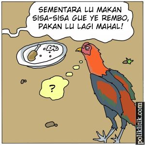 Pakan Naik